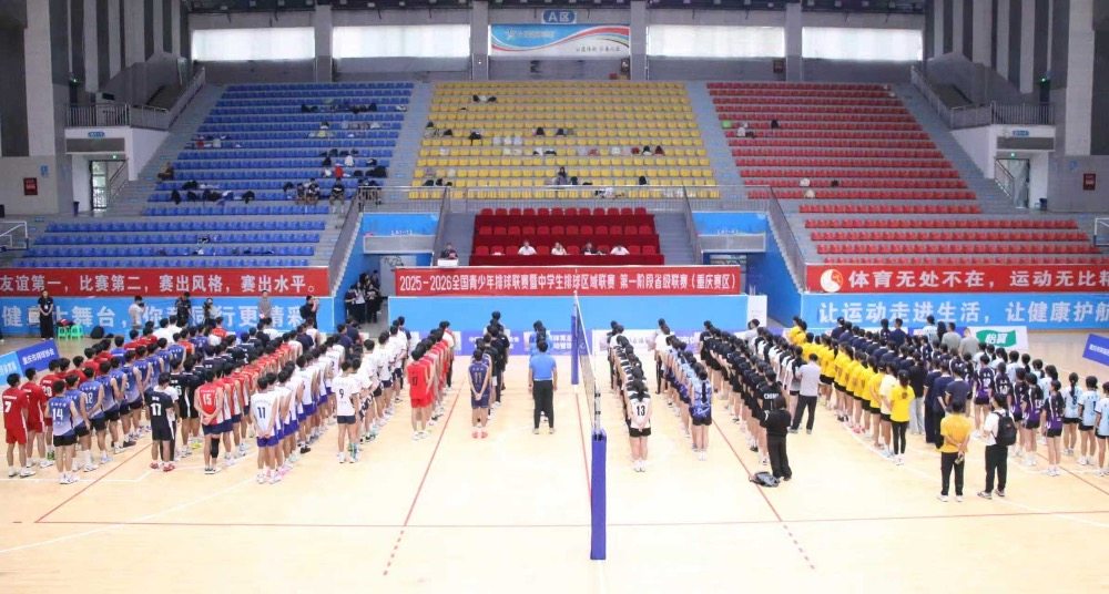 局排球运动 局排球运动