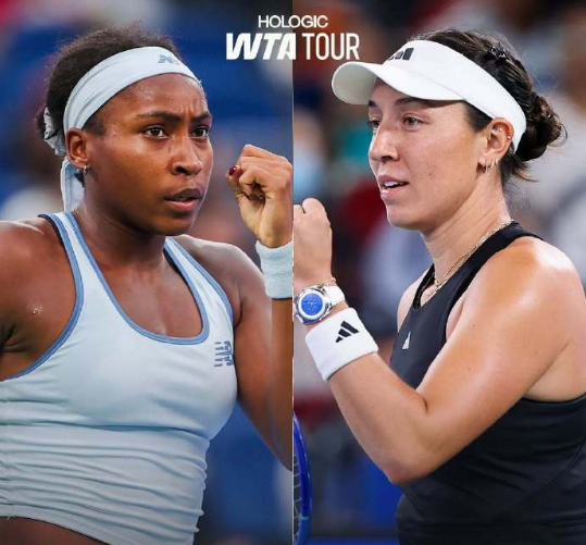 最终高芙总 最终高芙总